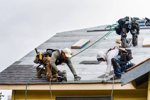 Professional Flat Roof Repair technician working in Amelia, LA